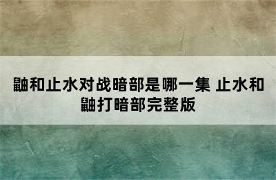 鼬和止水对战暗部是哪一集 止水和鼬打暗部完整版